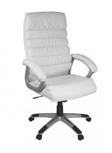 Chaise de bureau ergonomique Apolo 32, Couleur : Blanc / Alu Look, avec soutien lombaire intégré